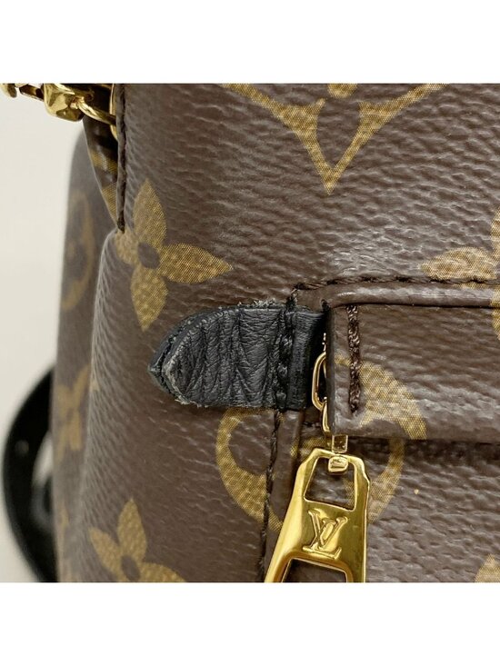 Louis Vuitton Backpack Monogram Palm Spring PM Brown main image 4